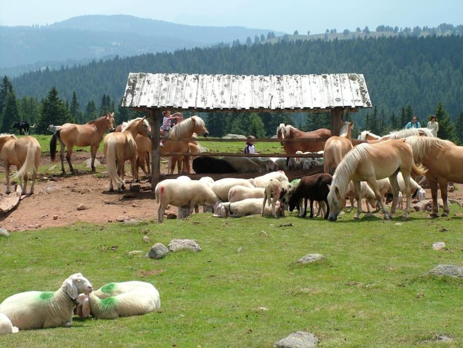 Oberkapillhof Βίλα Meltina Εξωτερικό φωτογραφία